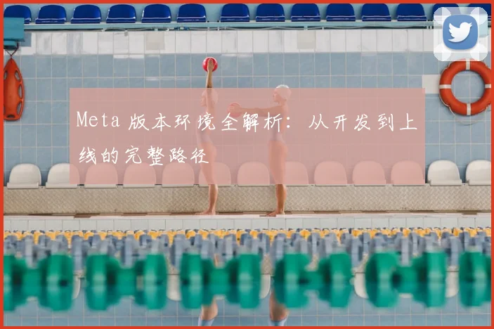 Meta 版本环境全解析:从开发到上线的完整路径