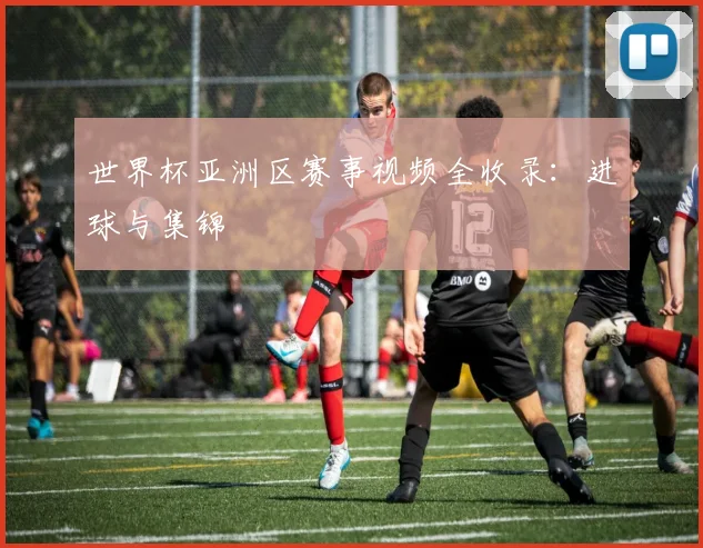 世界杯亚洲区赛事视频全收录：进球与集锦