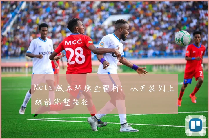 Meta 版本环境全解析：从开发到上线的完整路径