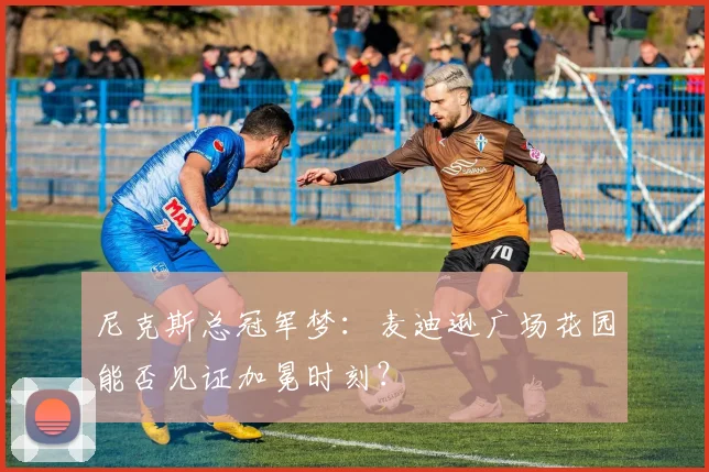 尼克斯总冠军梦：麦迪逊广场花园能否见证加冕时刻？